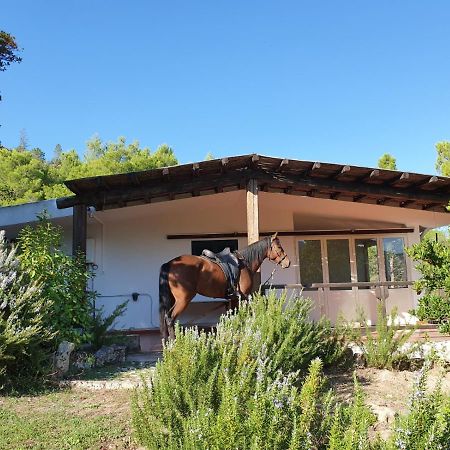 Villa Badde Rosa Dorgali Exterior photo