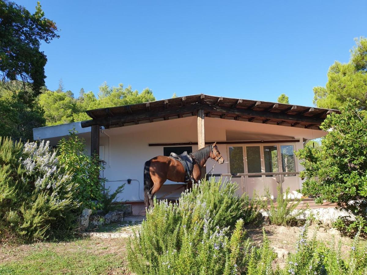 Villa Badde Rosa Dorgali Exterior photo